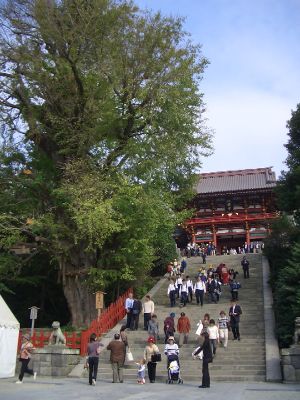 Tsurugaoka-hachimangu Shrine.jpg