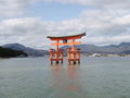 Torii des Itsukushima Jinja.JPG