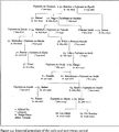 Genealogie Fujiwara.jpg