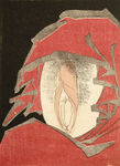 Daruma shunga2 kuniyoshi.jpg