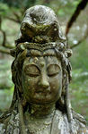 Koya kannon.jpg