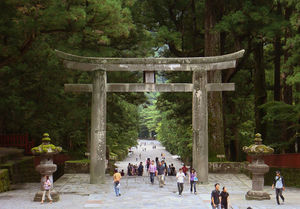 Torii nikko.jpg