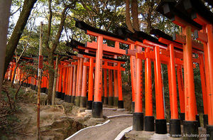 Torii Fushimi.jpg