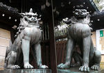 Komainu yasukuni.jpg