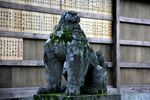 Kashii komainu a.jpg