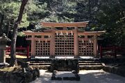 Hibara torii.jpg