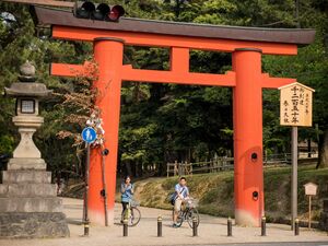 Kasuga torii.jpg