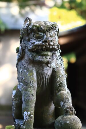 Kowake komainu a.jpg