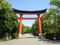 Usa torii wm.jpg